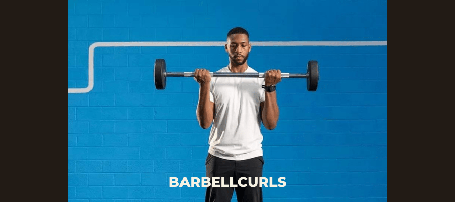 barbell curls